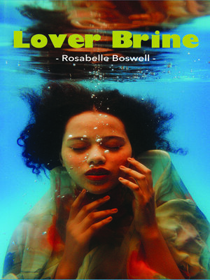 cover image of Lover Brine